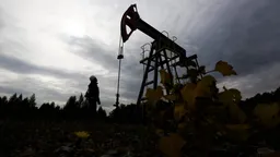 Цена нефти Brent превысила $113 за баррель впервые с мая